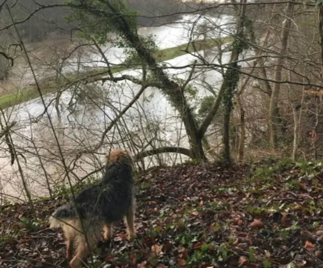 River Wharfe