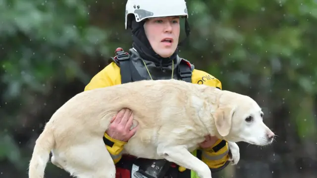 A firefighter carries a dog to safety