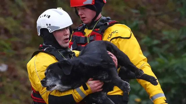 Firefighters rescue another dog from the flooding in south Wales