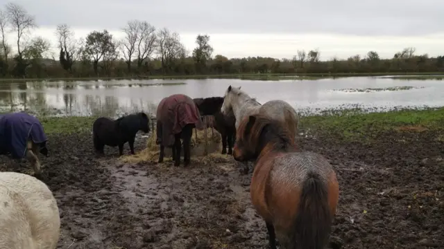 Flooding in Mountsorrel