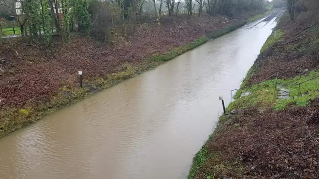 train line near Brockenhurst