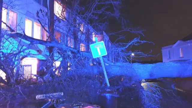 A fallen tree next to a block of flats in Bristol