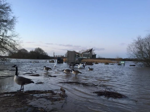 Attenborough Nature Reserve