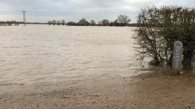 Flooded farm land