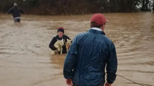 Faye Russell saving sheep