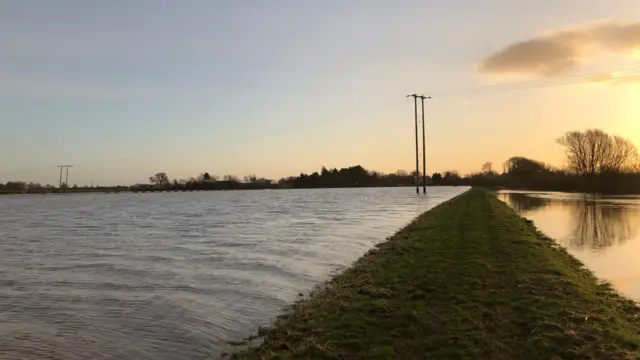 Flooded field