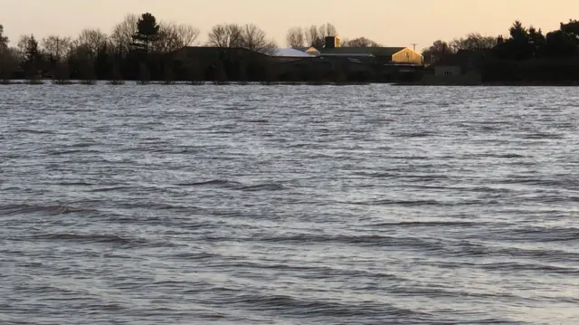 Flooded farm field