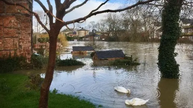 Flooding this week in Shrewsbury