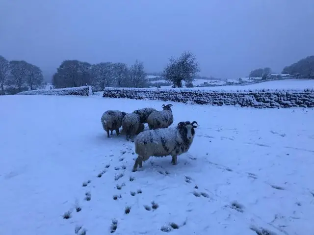 Snow in Otley