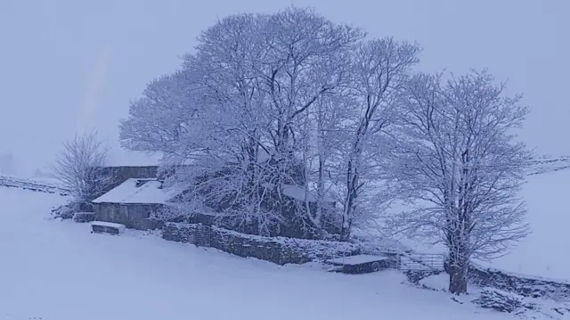 Snow, Hawes