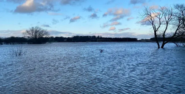 Ouse at Cawood