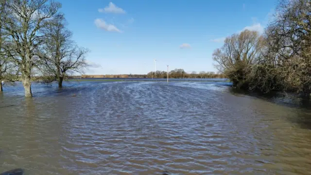 Flooded field