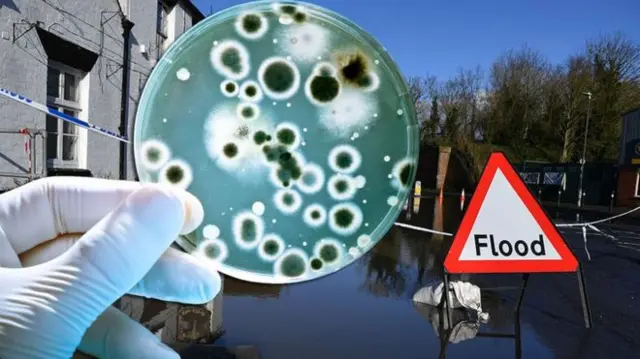 A petri dish showing bacteria next to a flood road sign