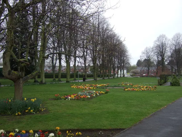 Wyndham Park