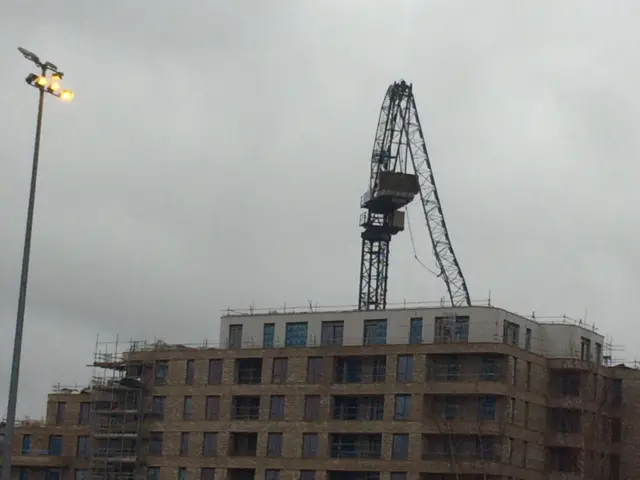 Crane collapses