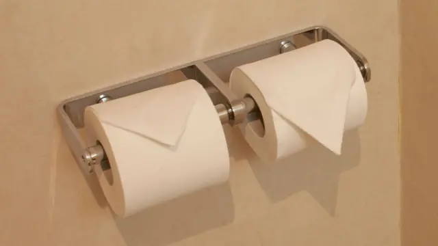 Toilet roll