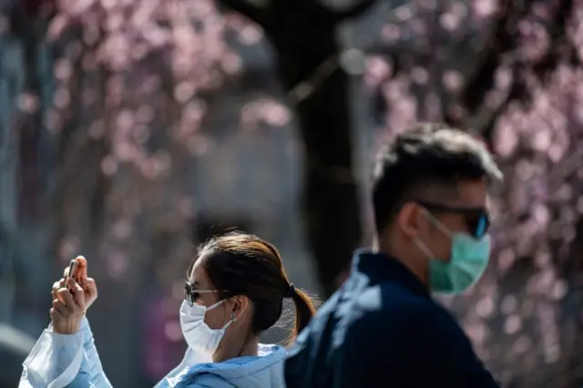 A man and a woman wearing masks in front of a cherry blossom tree in Tokyo, Japan