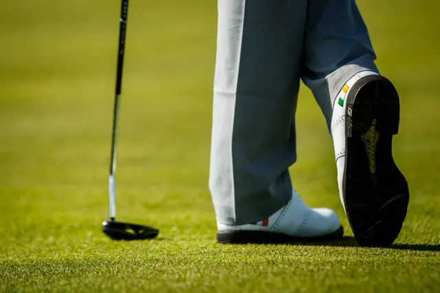 General view of golf shoes