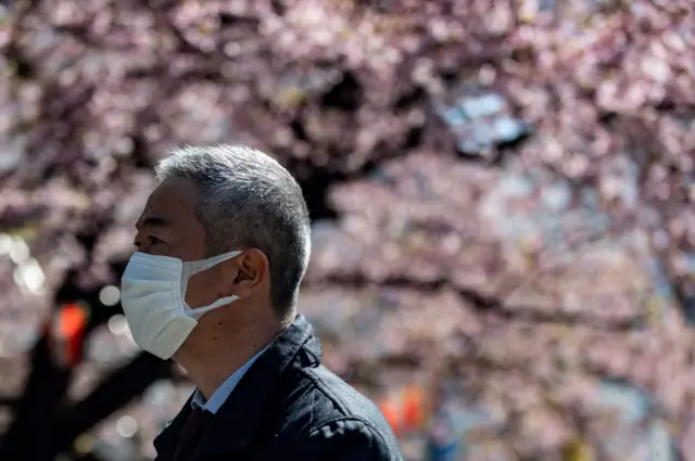 A man wearing a mask in front of a cherry blosson tree in  Tokyo, Japan