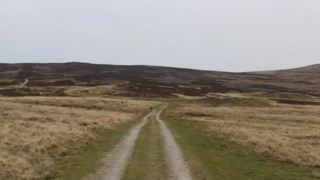 Threshfield Moor