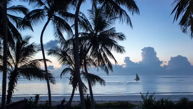 Dawn view of the Indian ocean at Msambweni