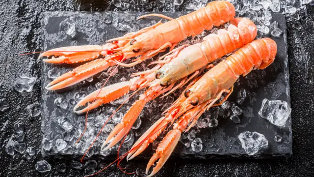 Langoustine