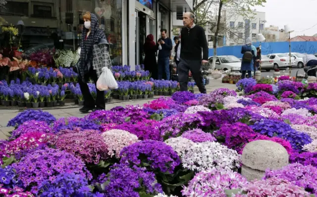 Flowers at the Tajrish bazaar in Tehran