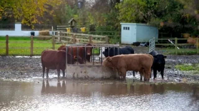 Flooded farm