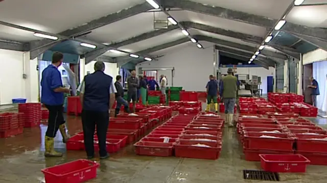 Newlyn fish market stock shot