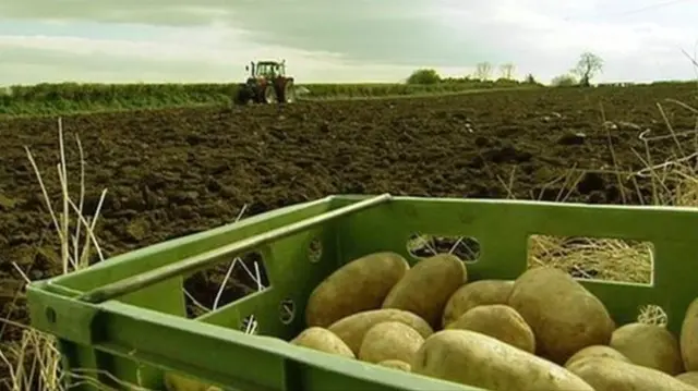 farmer ploughing field