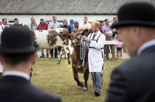 Great Yorkshire Show