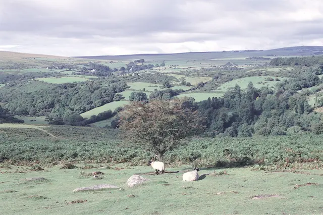 Dartmoor