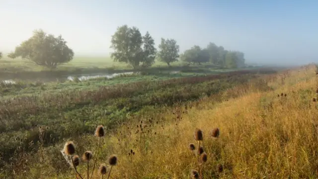 Cambridgeshire countryside