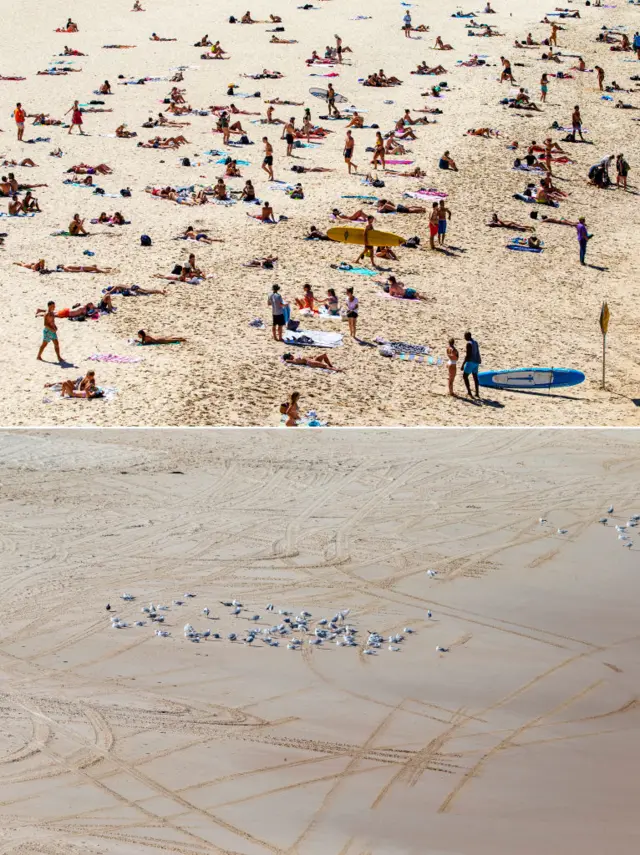 A composite image of Sydney's Bondi Beach swarming with people, and empty, after it was closed by police