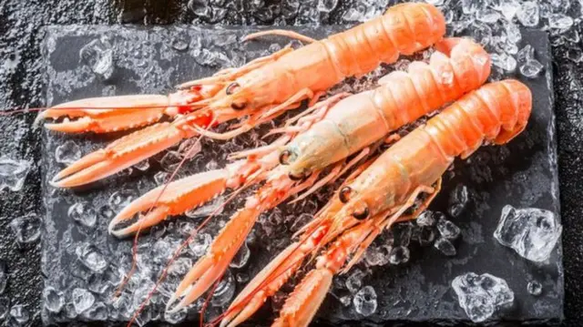 Langoustine