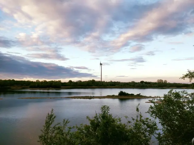 Forest of Marston Vale