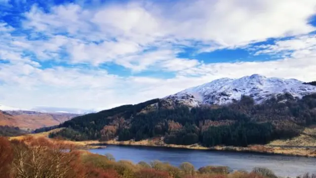 Galloway forest park