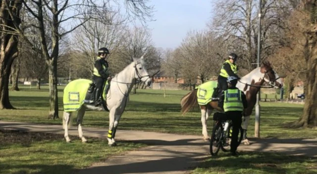 Police horses in a Cardiff park