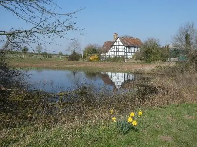 Sunshine at Severn Stoke