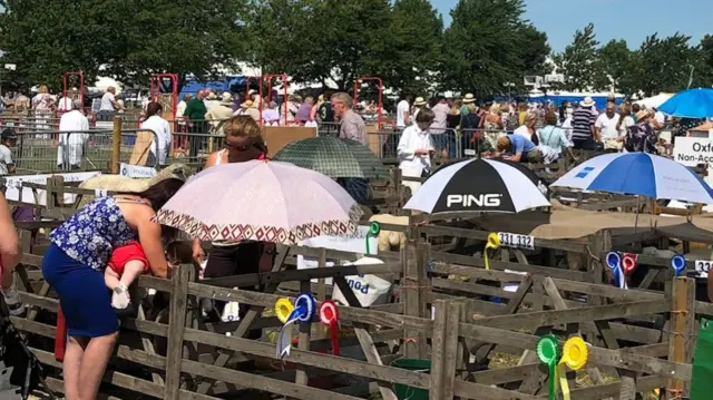 The Driffield Show