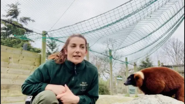 Online broadcast from Blair Drummond Safari Park