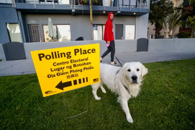 A dog stands by a sign for a polling place