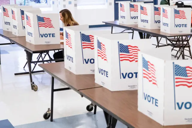 Voter on Super Tuesday in Arlington, Virginia