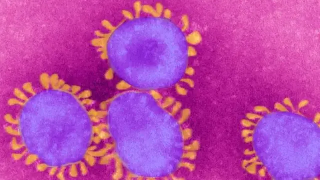 Coronavirus