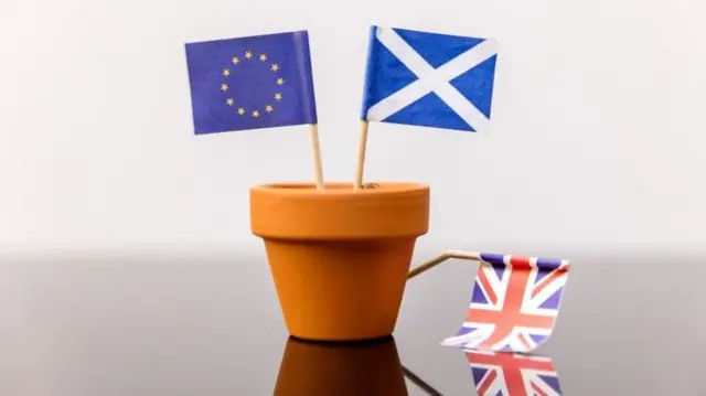 EU, Saltire and Union Jack flags in a pot