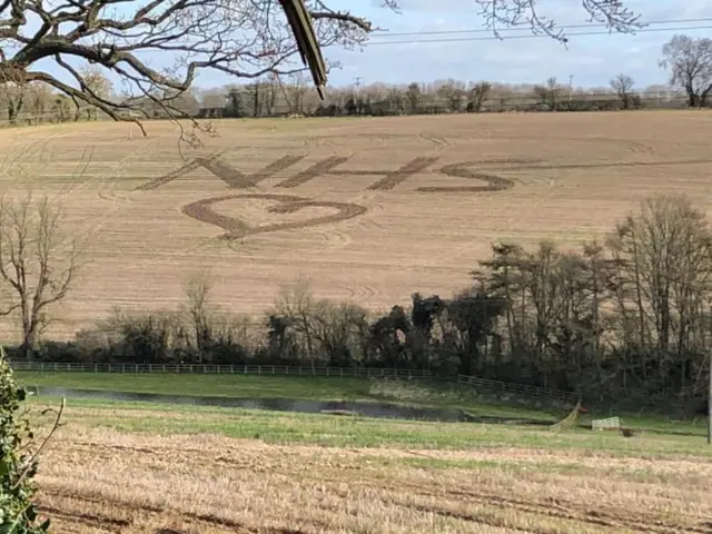 NHS mown into field