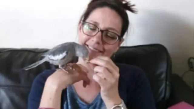 Oreo the cockatiel and Karen Hume