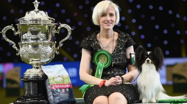 A papillon dog named Dylan was crowned Best in Show at last year's Crufts