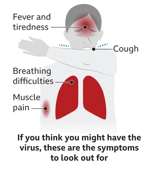 Virus symptoms