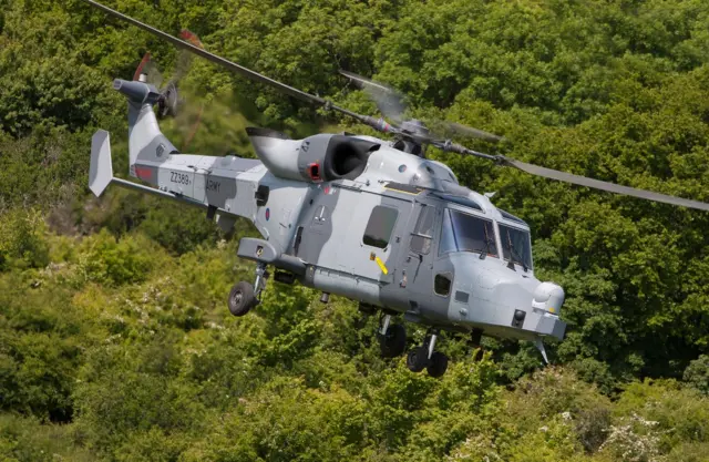 Wildcat from RNAS Yeovilton